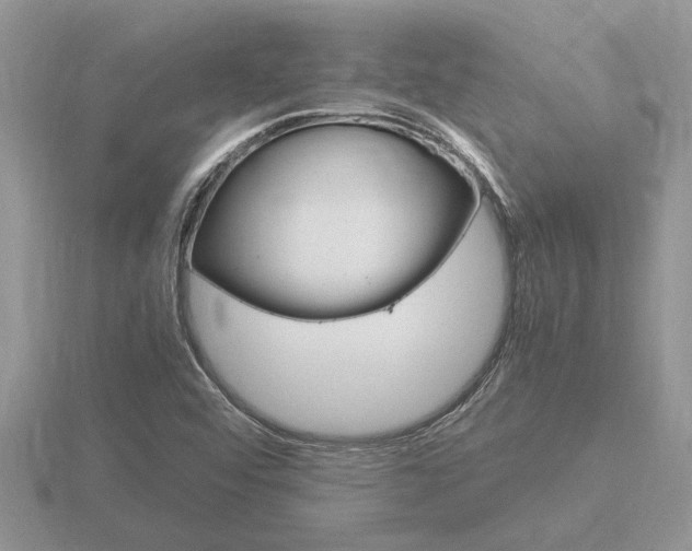 X0000116641456200912140935