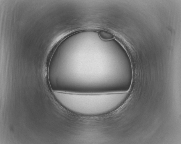 X0000116641461200912140935