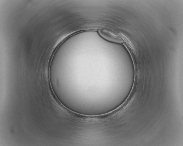 X0000116641465200912140935