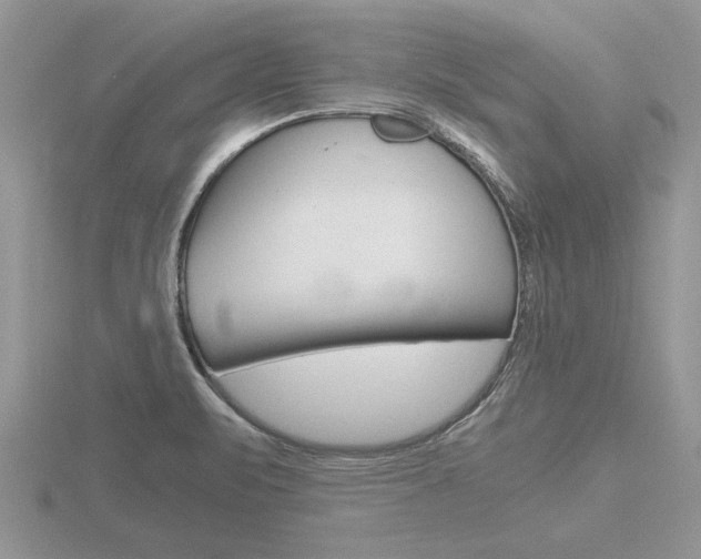 X0000116641471200912140935