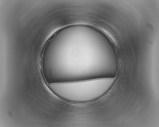 X0000116641476200912140935