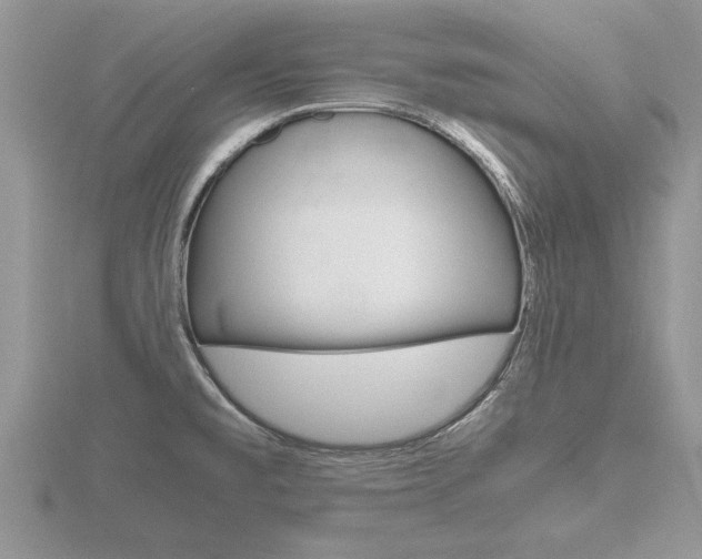 X0000116641477200912140935