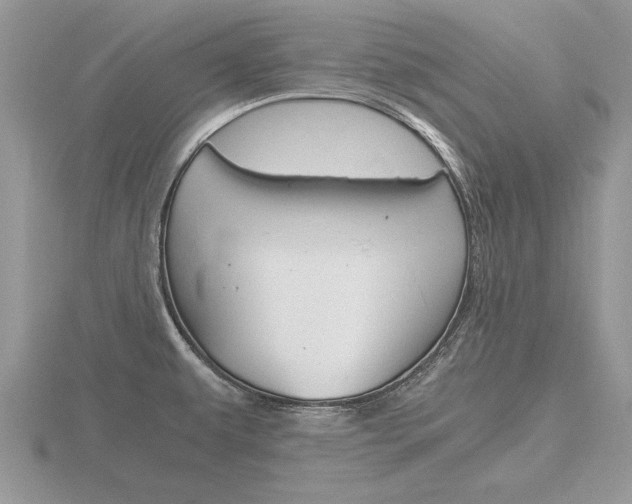 X0000116641479200912140935
