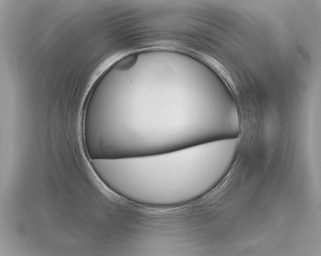 X0000116641482200912140935
