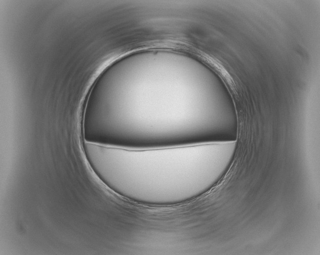 X0000116641483200912140935