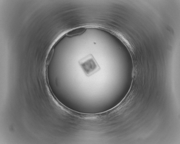 X0000116641484200912140935