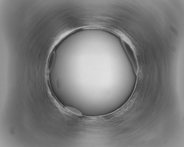 X0000116641485200912140934