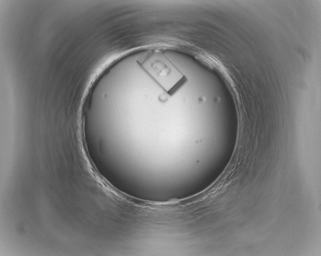 X0000116641488200912140934