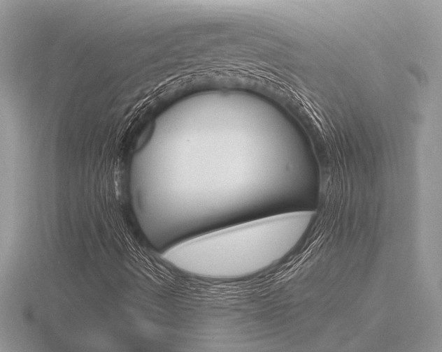 X0000116641490200912140934