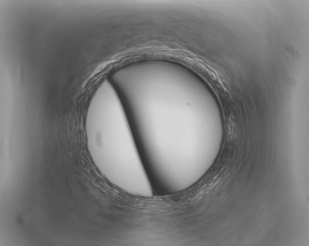 X0000116641494200912140934