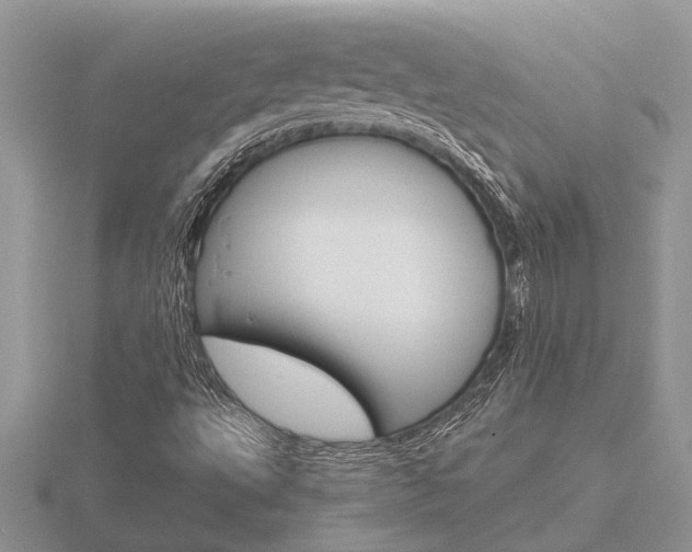 X0000116641495200912140934