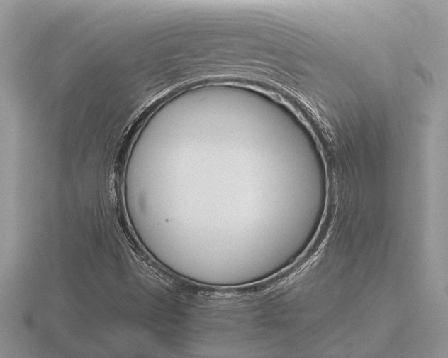 X0000116641497200912140934
