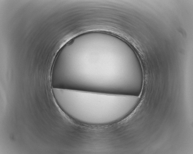 X0000116641521200912140934
