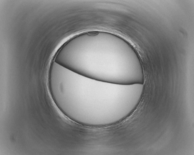 X0000116641523200912140934