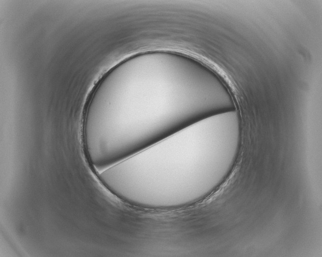 X0000116641525200912140934