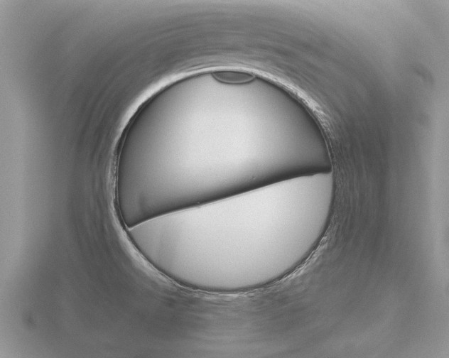 X0000116641526200912140934