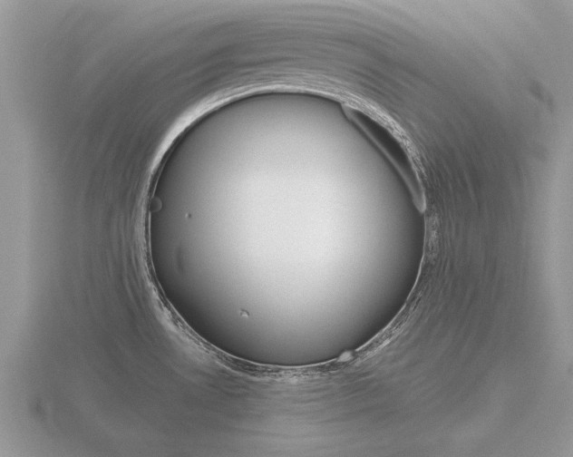X0000116641530200912140934