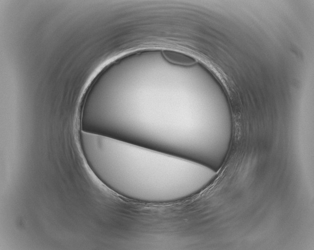 X0000116641531200912140934