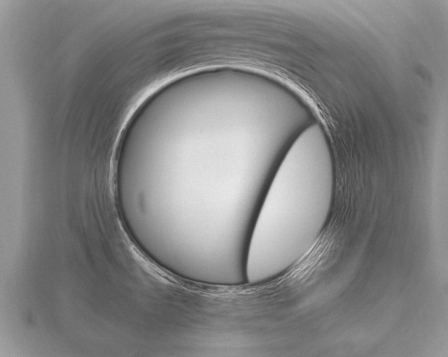 X0000116641535200912140934