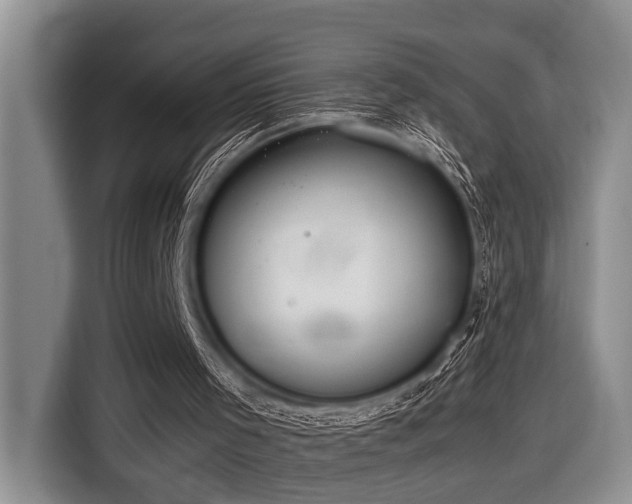 X0000116640001200912141245