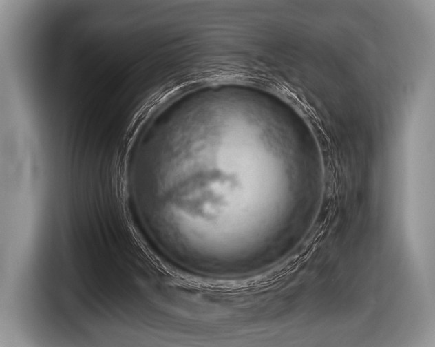 X0000116640002200912141245