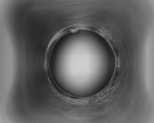 X0000116640004200912141245