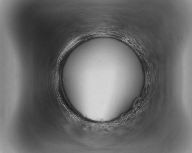 X0000116640005200912141244