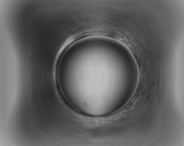 X0000116640006200912141244