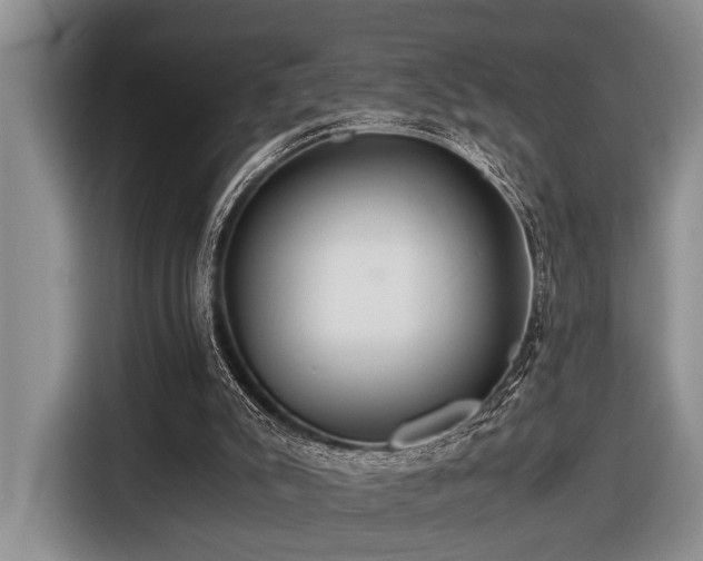 X0000116640007200912141244