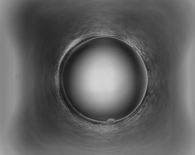 X0000116640008200912141244