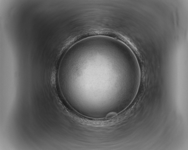 X0000116640010200912141244