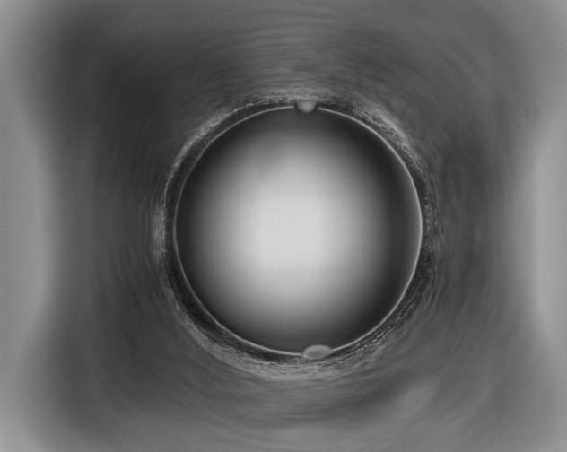 X0000116640012200912141244