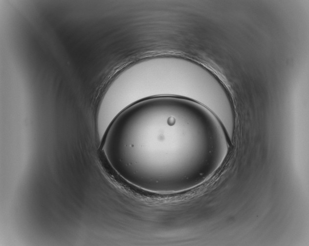 X0000116640013200912141244