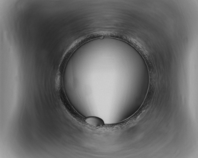 X0000116640016200912141244