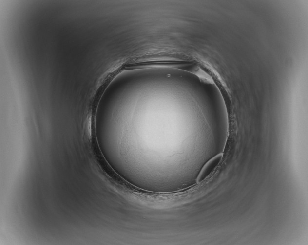 X0000116640019200912141244