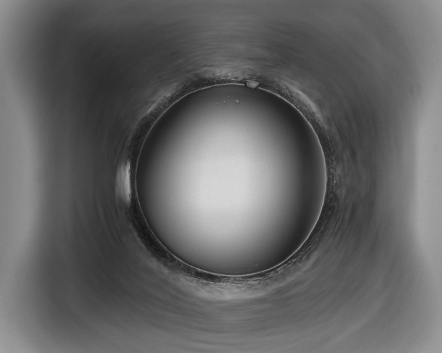 X0000116640020200912141244