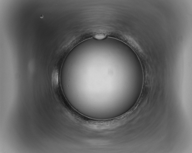 X0000116640021200912141244