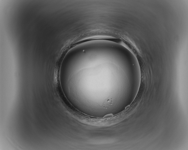 X0000116640023200912141244