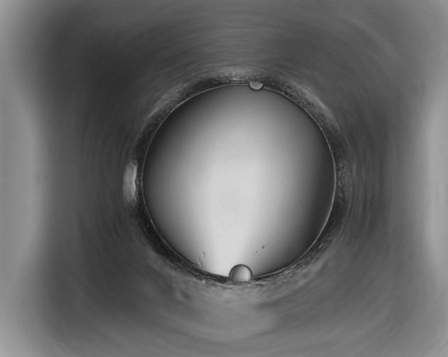 X0000116640024200912141244