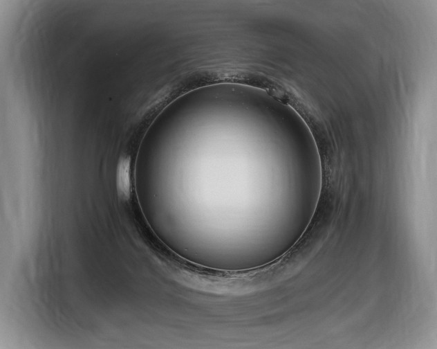 X0000116640028200912141244