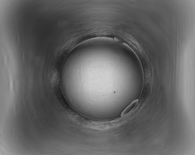 X0000116640029200912141244