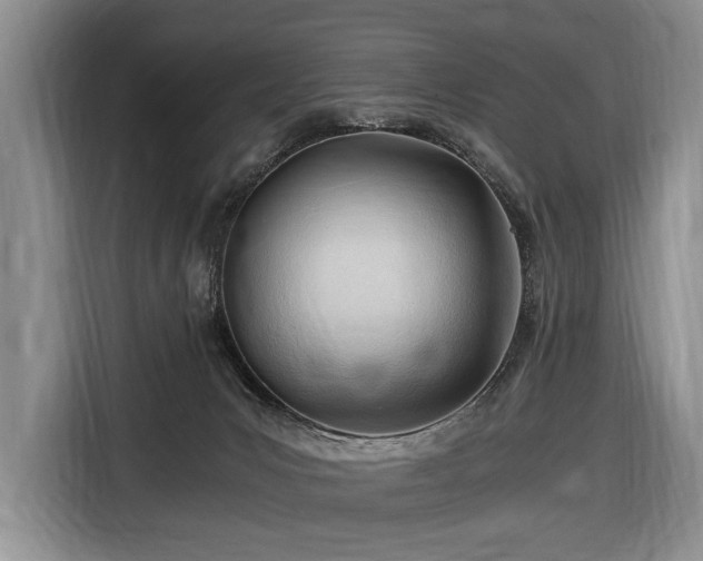 X0000116640031200912141244