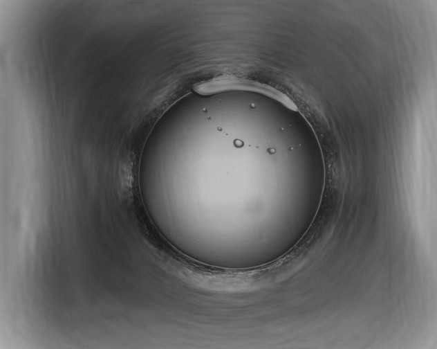 X0000116640032200912141244