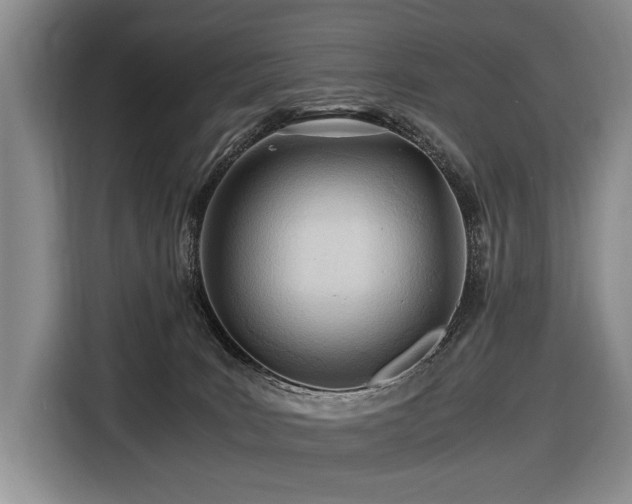 X0000116640035200912141244