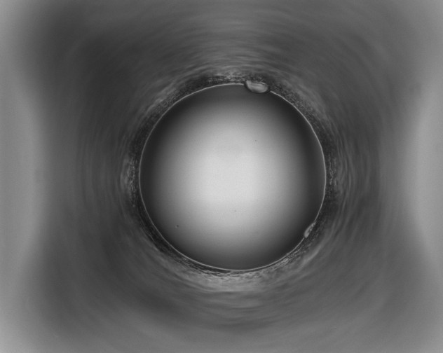 X0000116640036200912141244