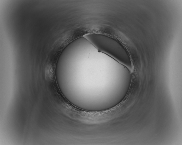 X0000116640037200912141244