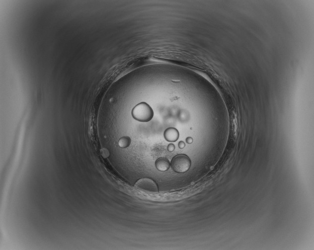 X0000116640038200912141244