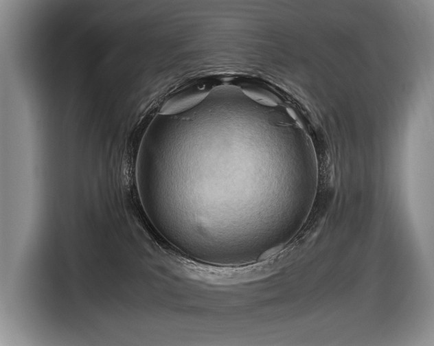 X0000116640039200912141244