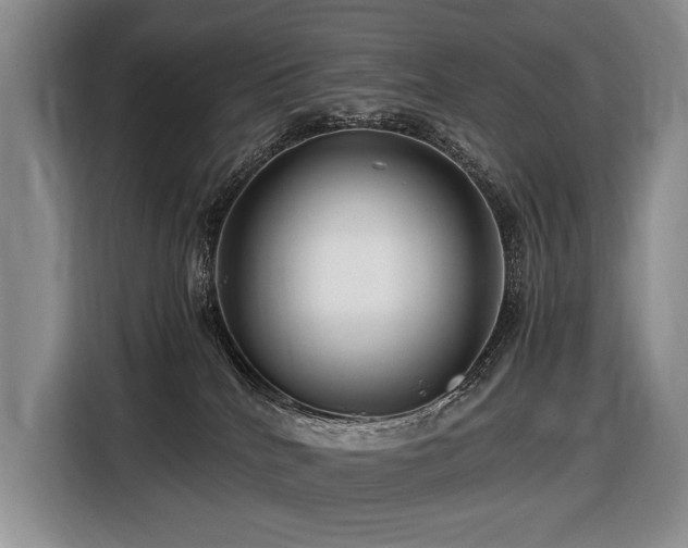 X0000116640040200912141244