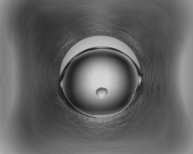 X0000116640043200912141244